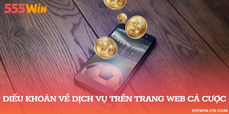 Điều khoản về dịch vụ trên trang web cá cược