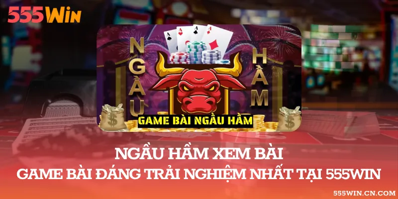 Ngầu Hầm Xem Bài – Game Bài Đáng Trải Nghiệm Nhất Tại 555WIN