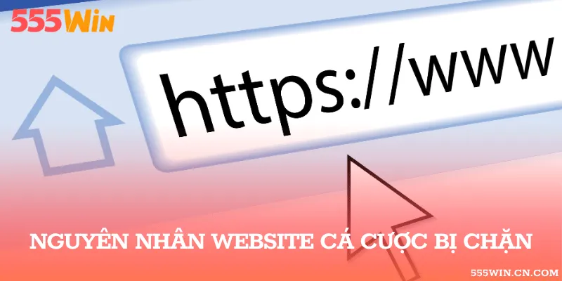 Lý giải vì sao website của nhà cái không thể truy cập được 
