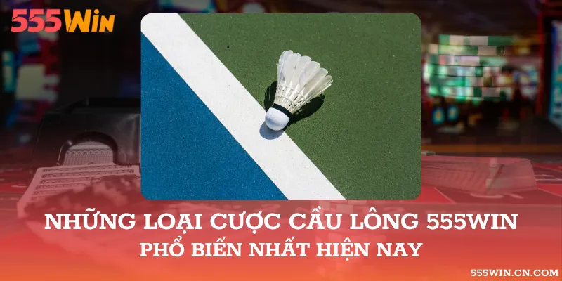 Những Loại Cược cầu lông 555WIN Phổ Biến Nhất Hiện Nay
