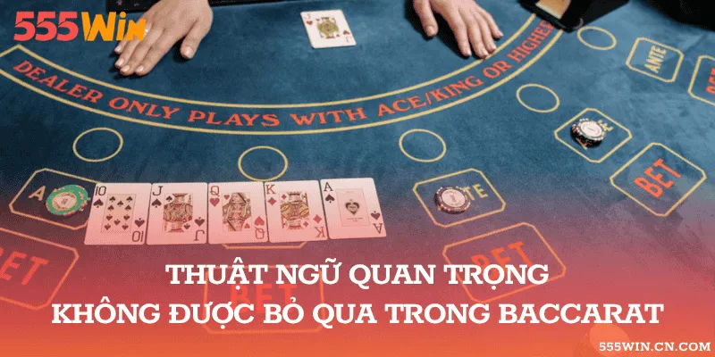 Thuật ngữ quan trọng không được bỏ qua trong Baccarat
