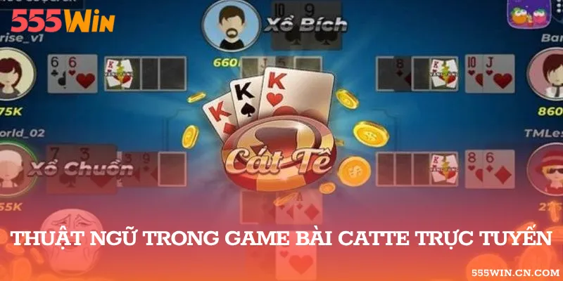 Tổng hợp một số thuật ngữ chuyên dùng trong game bài Catte cần ghi nhớ